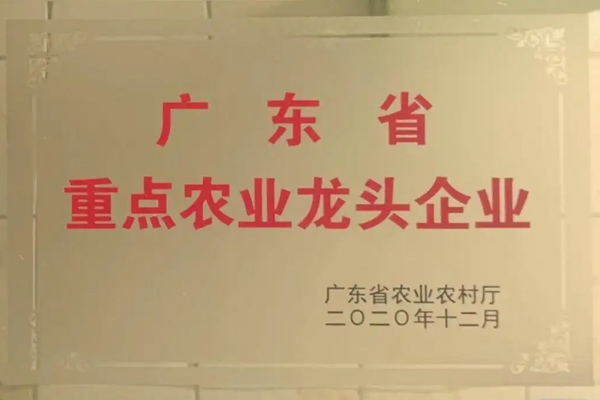 廣東省重點農(nóng)業(yè)龍頭企業(yè)