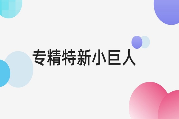 專(zhuān)精特新,專(zhuān)精特新小巨人