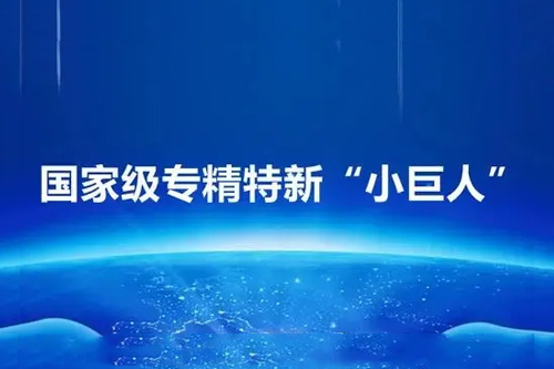 國家級專精特新小巨人申報(bào)必備條件