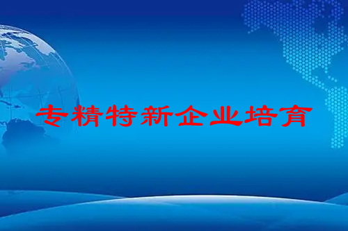 專精特新企業(yè)培育