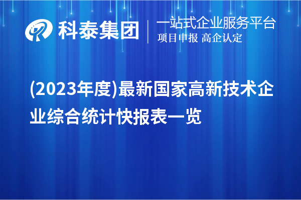 (2023年度)最新國家高新技術企業(yè)綜合統(tǒng)計快報表一覽