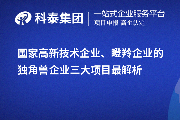 國家高新技術(shù)企業(yè)、瞪羚企業(yè)的獨角獸企業(yè)三大項目最解析