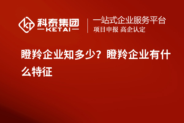瞪羚企業(yè)知多少？瞪羚企業(yè)有什么特征