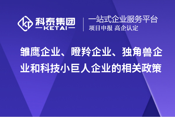 雛鷹企業(yè)、瞪羚企業(yè)、獨角獸企業(yè)和科技小巨人企業(yè)的相關政策