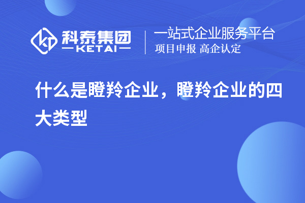 什么是瞪羚企業(yè)，瞪羚企業(yè)的四大類型