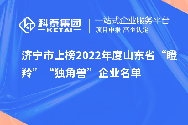 濟寧市上榜2022年度山東省“瞪羚”“獨角獸”企業(yè)名單