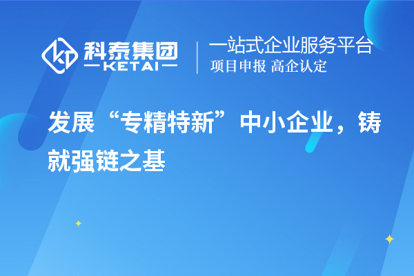 發(fā)展“專精特新”中小企業(yè)，鑄就強鏈之基