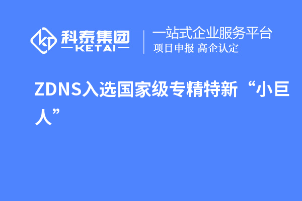 ZDNS入選國(guó)家級(jí)專(zhuān)精特新“小巨人”