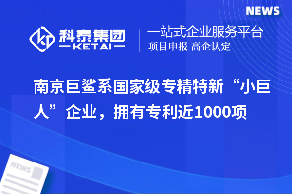 南京巨鯊系國家級專精特新“小巨人”企業(yè)，擁有專利近1000項