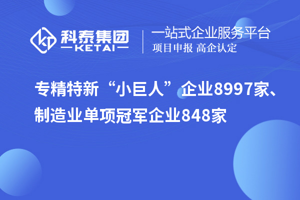 專精特新“小巨人”企業(yè)8997家、制造業(yè)單項(xiàng)冠軍企業(yè)848家