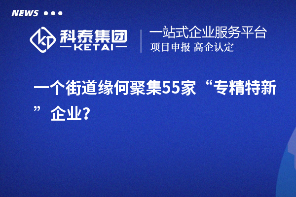 一個街道緣何聚集55家“專精特新”企業(yè)？