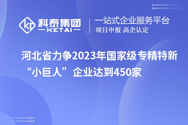 河北省力爭(zhēng)2023年國(guó)家級(jí)專(zhuān)精特新“小巨人”企業(yè)達(dá)到450家