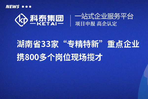 湖南省33家“專精特新”重點(diǎn)企業(yè)攜800多個崗位現(xiàn)場攬才