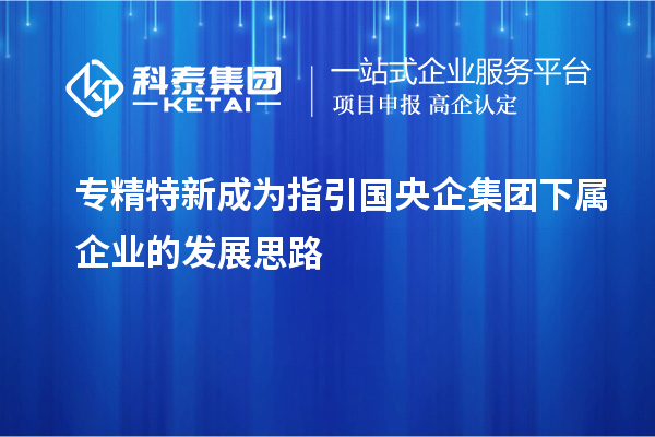專精特新成為指引國央企集團下屬企業(yè)的發(fā)展思路