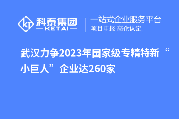 武漢力爭(zhēng)2023年國家級(jí)專精特新“小巨人”企業(yè)達(dá)260家