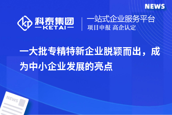 一大批專精特新企業(yè)脫穎而出，成為中小企業(yè)發(fā)展的亮點(diǎn)
