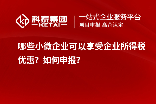 哪些小微企業(yè)可以享受企業(yè)所得稅優(yōu)惠？如何申報(bào)？
