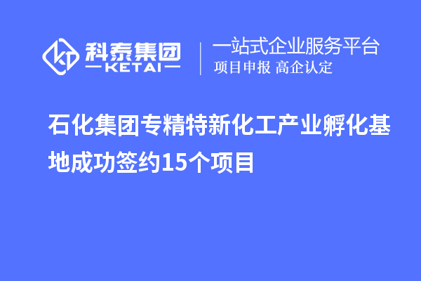 石化集團專精特新化工產(chǎn)業(yè)孵化基地成功簽約15個項目