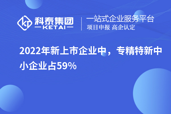 2022年新上市企業(yè)中，<a href=http://m.donghuashan.cn/fuwu/zhuanjingtexin.html target=_blank class=infotextkey>專精特新中小企業(yè)</a>占59%