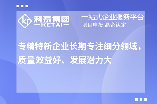 專精特新企業(yè)長(zhǎng)期專注細(xì)分領(lǐng)域，質(zhì)量效益好、發(fā)展?jié)摿Υ? style=