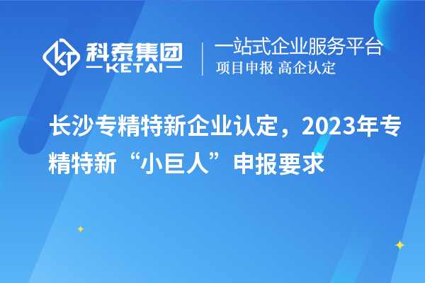 長(zhǎng)沙專精特新企業(yè)認(rèn)定，2023年專精特新“小巨人”申報(bào)要求