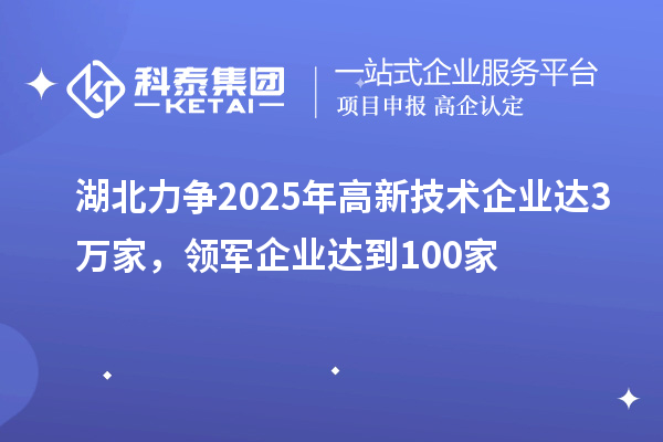 湖北力爭2025年高新技術(shù)企業(yè)達(dá)3萬家，領(lǐng)軍企業(yè)達(dá)到100家