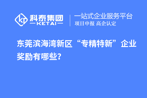 東莞濱海灣新區(qū)“專精特新”企業(yè)獎勵有哪些？