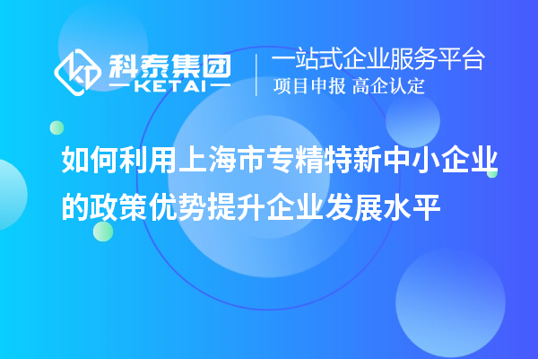如何利用上海市專精特新中小企業(yè)的政策優(yōu)勢(shì)提升企業(yè)發(fā)展水平