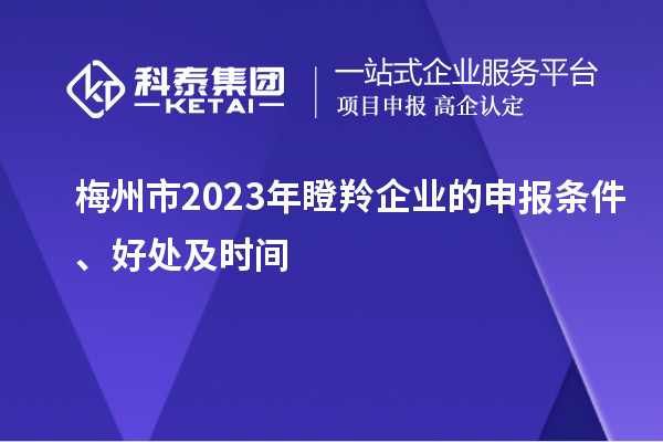 梅州市2023年瞪羚企業(yè)的申報(bào)條件、好處及時(shí)間