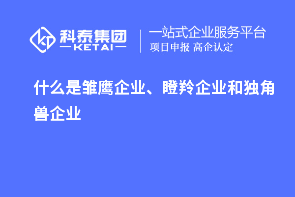 什么是雛鷹企業(yè)、瞪羚企業(yè)和獨(dú)角獸企業(yè)