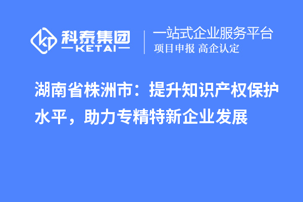 湖南省株洲市：提升知識(shí)產(chǎn)權(quán)保護(hù)水平，助力專精特新企業(yè)發(fā)展