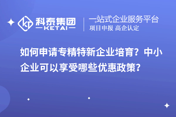 如何申請(qǐng)專(zhuān)精特新企業(yè)培育？中小企業(yè)可以享受哪些優(yōu)惠政策？