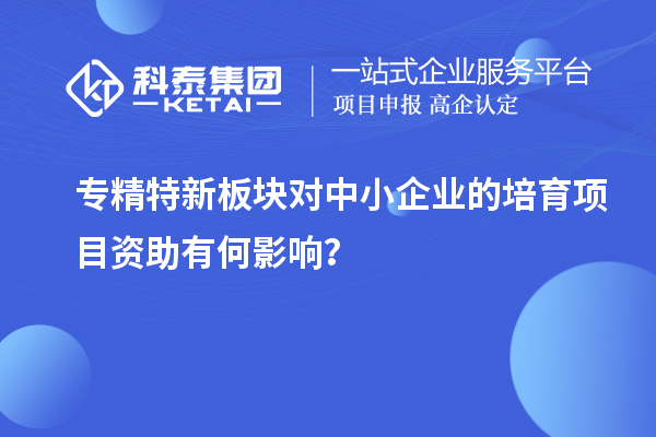 專精特新板塊對(duì)中小企業(yè)的培育項(xiàng)目資助有何影響？