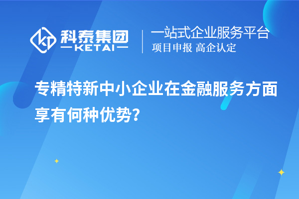 專精特新中小企業(yè)在金融服務(wù)方面享有何種優(yōu)勢？