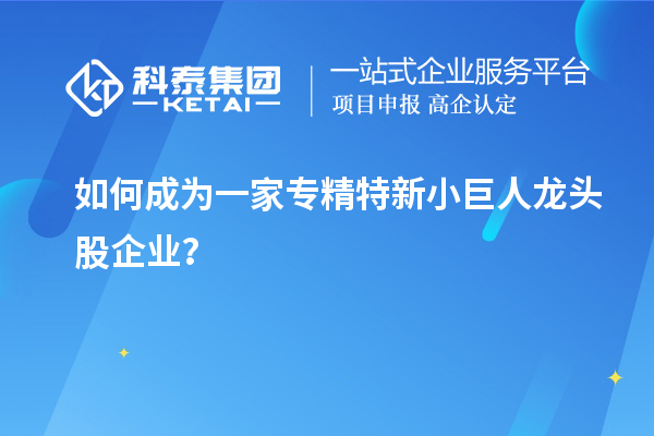 如何成為一家專精特新小巨人龍頭股企業(yè)？