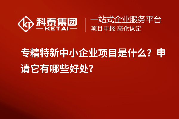 專精特新中小企業(yè)項(xiàng)目是什么？申請(qǐng)它有哪些好處？
