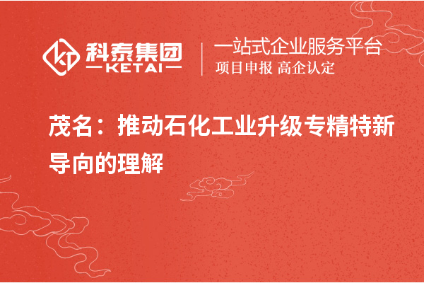 茂名：推動石化工業(yè)升級專精特新導向的理解