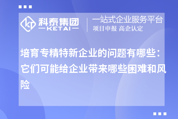 培育專精特新企業(yè)的問題有哪些：它們可能給企業(yè)帶來哪些困難和風險