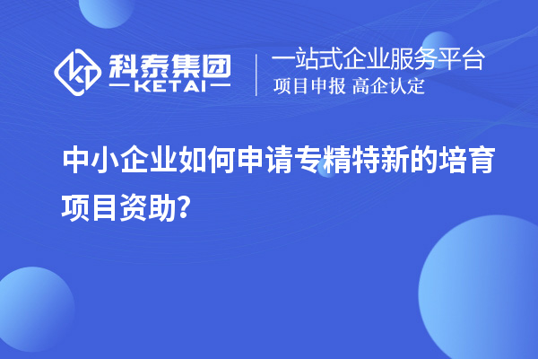 中小企業(yè)如何申請(qǐng)專精特新的培育項(xiàng)目資助？