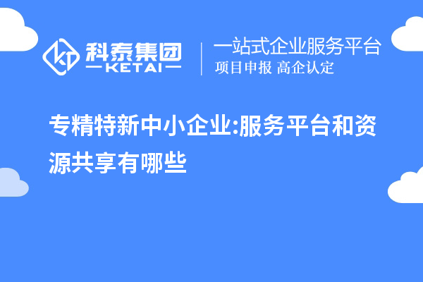 專精特新中小企業(yè):服務(wù)平臺和資源共享有哪些