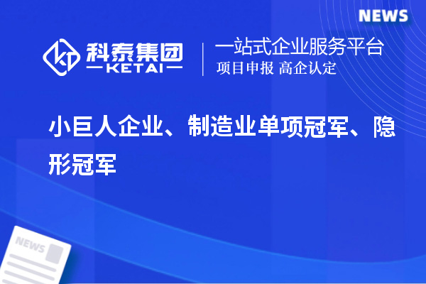 小巨人企業(yè)、制造業(yè)單項(xiàng)冠軍、隱形冠軍