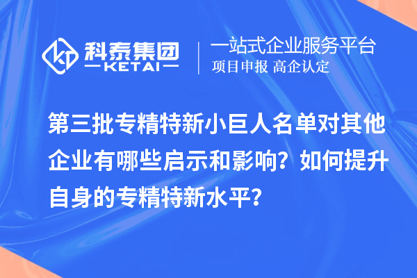第三批專精特新小巨人名單對其他企業(yè)有哪些啟示和影響？如何提升自身的專精特新水平？