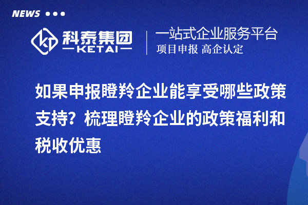 如果申報(bào)瞪羚企業(yè)能享受哪些政策支持？梳理瞪羚企業(yè)的政策福利和稅收優(yōu)惠
