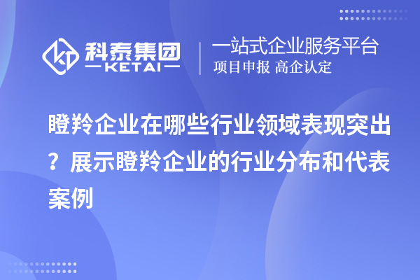 瞪羚企業(yè)在哪些行業(yè)領(lǐng)域表現(xiàn)突出？展示瞪羚企業(yè)的行業(yè)分布和代表案例