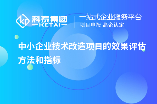 中小企業(yè)技術(shù)改造項目的效果評估方法和指標(biāo)