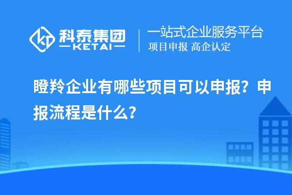 瞪羚企業(yè)有哪些項目可以申報？申報流程是什么？