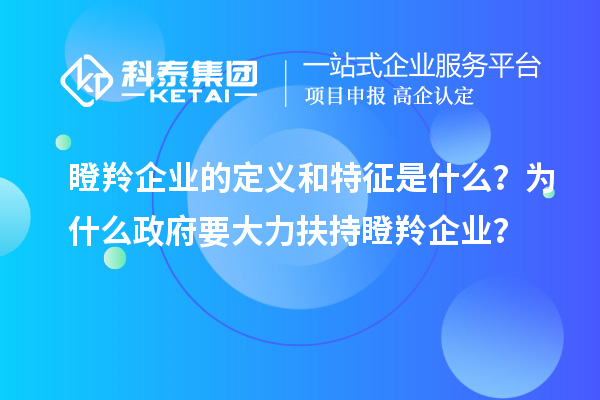 瞪羚企業(yè)的定義和特征是什么？為什么政府要大力扶持瞪羚企業(yè)？