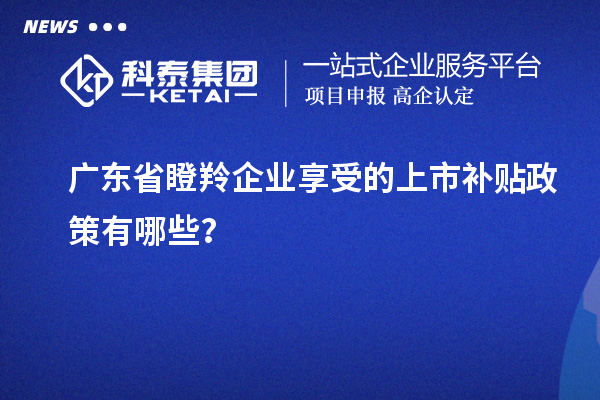 廣東省瞪羚企業(yè)享受的上市補貼政策有哪些？