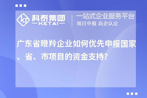 廣東省瞪羚企業(yè)如何優(yōu)先申報國家、省、市項目的資金支持？