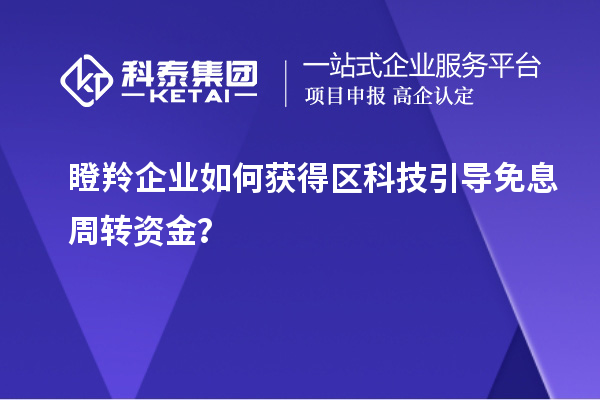 瞪羚企業(yè)如何獲得區(qū)科技引導(dǎo)免息周轉(zhuǎn)資金？